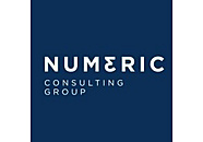 Numeric Consulting Group